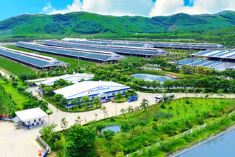Vinamilk: Một thương hiệu quốc gia “đặc biệt” và“khác biệt”