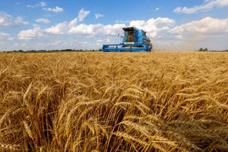 Ảnh minh họa. (Nguồn: Reuters)