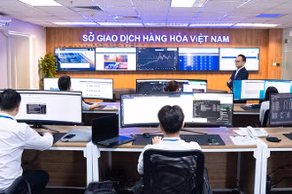 Công bố Top 5 thị phần môi giới hàng hóa năm 2023