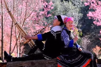 Bên sắc hoa Tớ dày.