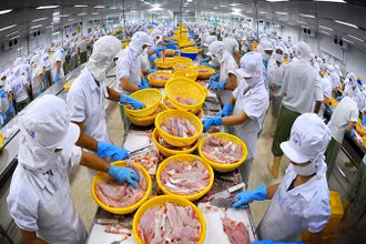 Thủy sản là một trong những mặt hàng thế mạnh của Việt Nam tại thị trường CPTPP.