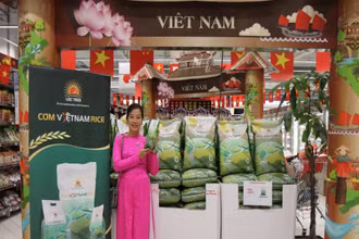 Lộc Trời đã xuất khẩu gạo sang Pháp với thương hiệu Việt.