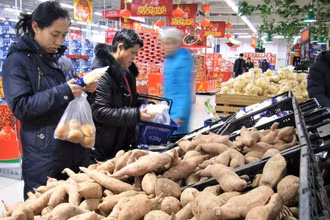 Khoai lang được bày bán ở một siêu thị Trung Quốc.