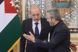 Quyền Ngoại trưởng Iran Ali Bagheri (phải) trong cuộc gặp Ngoại trưởng Jordan Ayman Safadi đang ở thăm Tehran, ngày 4/8/2024. Ảnh: Reuters/TTXVN