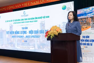 Bà Nguyễn Thị Lâm Giang, Vụ trưởng Vụ Tiết kiệm năng lượng và Phát triển bền vững, Bộ Công thương phát biểu tại tọa đàm