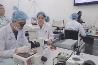 Hoạt động nghiên cứu khoa học tại Đại học Quốc gia Thành phố Hồ Chí Minh
