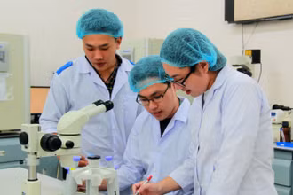 Hoạt động nghiên cứu khoa học tại Đại học Quốc gia Thành phố Hồ Chí Minh.