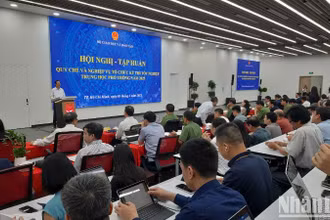Quang cảnh hội nghị tập huấn.