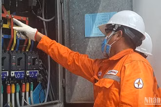 Công nhân Tổng Công ty Điện lực Thành phố Hồ Chí Minh. (Ảnh: nhandan.vn)