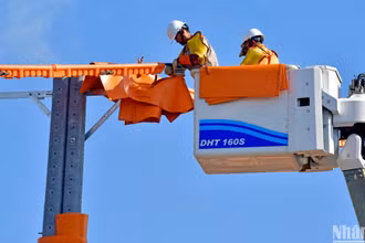 Công nhân EVNSPC bảo trì lưới điện trước Lễ 2/9.
