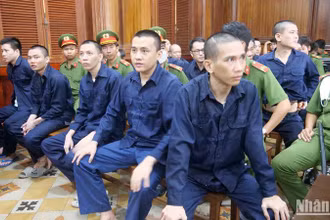 Các bị cáo tại tòa.