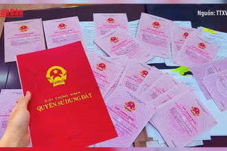 [Video] Không bắt buộc phải chỉnh lý sổ đỏ sau sáp nhập
