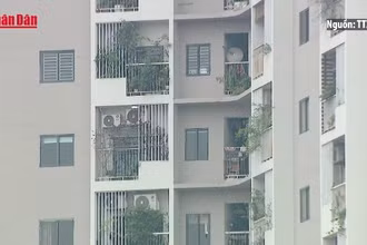 [Video] Long An rút ngắn 30% thời gian thực hiện thủ tục với dự án nhà ở xã hội