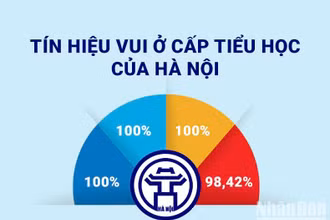 [Infographic] Tín hiệu vui ở cấp tiểu học của Hà Nội 