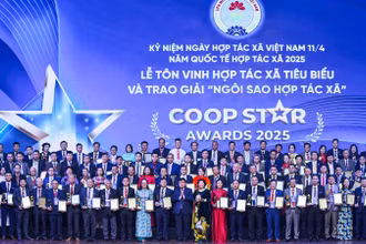Lễ tôn vinh hợp tác xã tiêu biểu và trao giải Ngôi sao hợp tác xã.