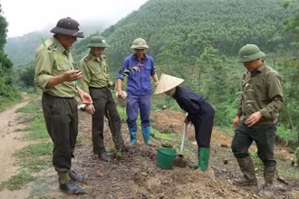 Cán bộ kiểm lâm hướng dẫn kỹ thuật trồng rừng cho người dân huyện Sơn Dương, tỉnh Tuyên Quang.