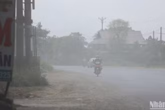 Ảnh minh họa. (Ảnh: SƠN BÁCH)