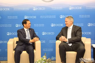 Bộ trưởng Ngoại giao Bùi Thanh Sơn gặp Tổng Thư ký OECD Mathias Cormann. Ảnh: MINH DUY