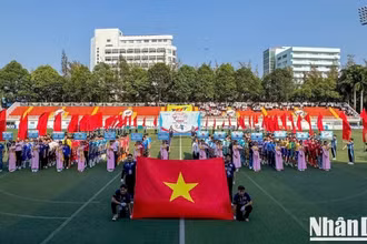 12 đội bóng tranh tài ở vòng chung kết diễn ra tại Thành phố Hồ Chí Minh.