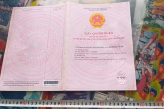 Phú Yên: Tạm giữ 2 đối tượng lừa đảo làm giả giấy chứng nhận quyền sử dụng đất