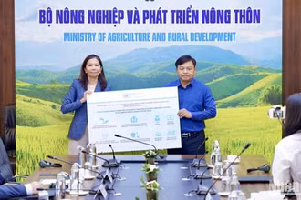 Bà Pauline Tamesis - Điều phối viên thường trú Liên hợp quốc tại Việt Nam - đại diện trao hỗ trợ tới Bộ Nông nghiệp và Phát triển nông thôn.