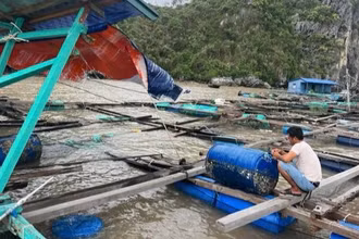 Bộ Nông nghiệp và Phát triển nông thôn vừa có văn bản số 6661/BNN-TS về việc triển khai các biện pháp nhằm sớm khôi phục sản xuất nuôi trồng thủy sản.