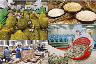 Năm 2024, tổng kim ngạch xuất khẩu nông lâm thủy sản ước đạt mức cao kỷ lục 62,4 tỷ USD, tăng 18,5% so với năm 2023.
