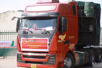 Các cán bộ kỹ thuật về nông nghiệp và 5,2 tấn ngô giống, 390 tấn phân bón NPK Đầu Trâu, với tổng trị giá 3 tỷ đồng và đã xuất phát từ Ninh Bình đến các tỉnh Yên Bái, Lào Cai ngày 4/10.