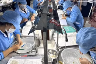 Hơn 4 tấn tổ yến tinh chế cùng hàng triệu sản phẩm tổ yến đã được xuất khẩu chính ngạch vào Trung Quốc, đạt giá trị hơn 4 triệu USD. 