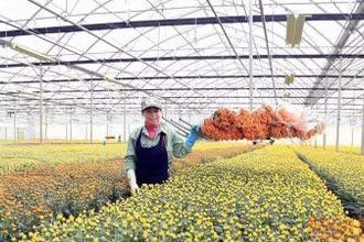 Giải bài toán đầu tư cho đổi mới khoa học công nghệ trong nông nghiệp