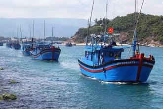 Tình trạng kiểm tra, giám sát các tàu cá đặc biệt các tàu cá mất kết nối từ 6 tháng trở lên vẫn còn tồn tại nhiều bất cập. 