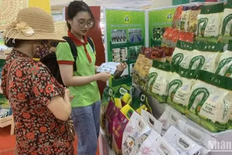 Việc truy xuất nguồn gốc hàng hóa ngày càng đóng vai trò quan trọng đối với doanh nghiệp và người tiêu dùng.