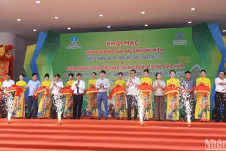 Cắt băng khai mạc "Phiên chợ nông sản, đặc sản vùng miền; Tuần lễ quảng bá na, nông đặc sản tỉnh Lạng Sơn năm 2024".