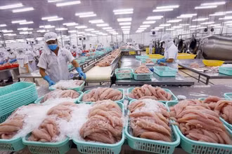 GDP ngành nông nghiệp tăng trưởng cao nhất trong 10 năm gần đây