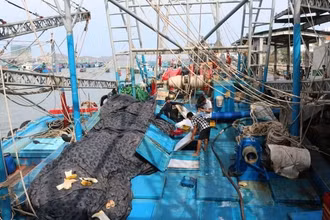 Hiện nay, khâu kiểm soát giữa cảng cá và hoạt động chế biến còn chưa chặt chẽ, việc kiểm soát tàu cá ra vào cảng, quản lý dữ liệu còn nhiều bất cập, chưa rõ ràng. Ảnh: Báo Nông Nghiệp