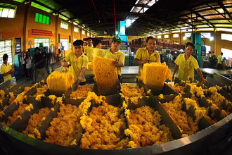 Thái Lan, Indonesia, Trung Quốc, Việt Nam và Nhật Bản là 5 thị trường lớn nhất cung cấp cao-su cho Hàn Quốc. 