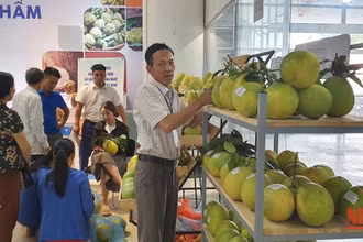 Điểm trưng bày nông sản an toàn và sản phẩm làng nghề truyền thống Việt Nam.