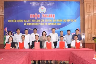 Ký kết biên bản ghi nhớ, hợp đồng hợp tác giữa các đơn vị và hợp tác xã trên địa bàn tỉnh Hà Nam. 