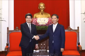 Trưởng Ban Kinh tế Trung ương Trần Tuấn Anh tiếp Thống đốc Ngân hàng Hợp tác quốc tế Nhật Bản Hayashi Nobumitsu. (Ảnh: TTXVN)