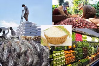 Kim ngạch xuất khẩu nông lâm thủy sản tháng 7/2023 ước đạt 4,62 tỷ USD, tăng 5,3% so với cùng kỳ năm ngoái.