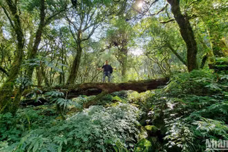 Loại hình du lịch khám phá, mạo hiểm (du lịch trekking) không còn xa lạ với nhiều người, nhất là với giới trẻ hiện nay.