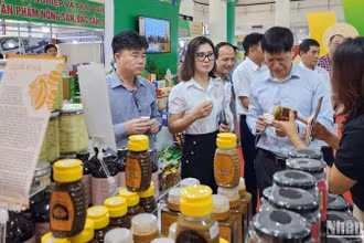 Liên kết vùng không chỉ giúp doanh nghiệp, hợp tác xã nắm bắt thị trường mà còn đưa sản phẩm thế mạnh địa phương tới hệ thống phân phối.