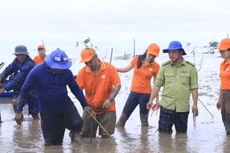 Tăng cường khả năng chống chịu với biến đổi khí hậu của cộng đồng ven biển đồng bằng sông Cửu Long 