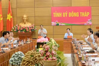 Thủ tướng Phạm Minh Chính chủ trì buổi làm việc với Ban Thường vụ Tỉnh ủy Đồng Tháp.