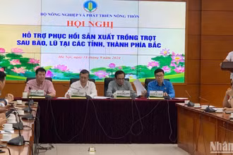 Hội nghị “Hỗ trợ phục hồi sản xuất trồng trọt sau bão, lũ tại các tỉnh, thành phố phía bắc”.