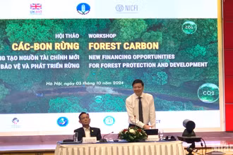Ngày 3/10, Cục Lâm nghiệp phối hợp Hội Khoa học Kinh tế Nông nghiệp và Phát triển nông thôn tổ chức Hội thảo “Carbon rừng - Tiềm năng tạo nguồn tài chính mới cho bảo vệ và phát triển rừng”.