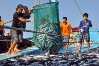 Từ ngày 10-18/10/2023, Đoàn thanh tra EC lần 4 sẽ sang Việt Nam kiểm tra kết quả triển khai các khuyến nghị của Ủy ban châu Âu (EC) về chống khai thác IUU.