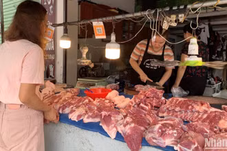 Giá lợn hơi những ngày đầu tháng 5 tăng nhẹ so với bốn tháng đầu năm.