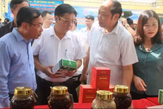 Tuần hàng lần này có hơn 40 doanh nghiệp, chủ thể, hợp tác xã đến từ Hà Nội và 18 tỉnh, thành phố khác.