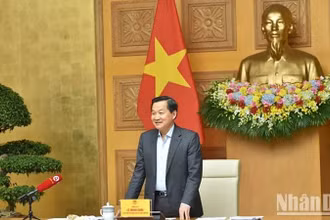 Phó Thủ tướng Lê Minh Khái phát biểu tại buổi làm việc với Ủy ban Giám sát tài chính quốc gia, ngày 13/11/2024. Ảnh: VGP